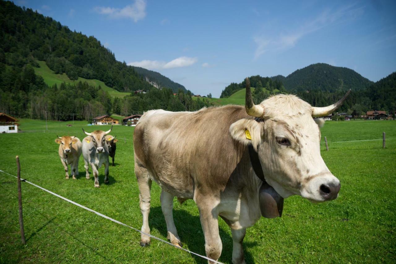 Geigers Ferienhaus Tiefenbach bei Oberstdorf 外观 照片